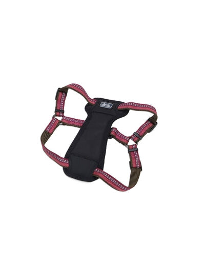 Coastal K9 Explorer 5/8 Inch Padded Harness Berry Red (12-18 Inch)