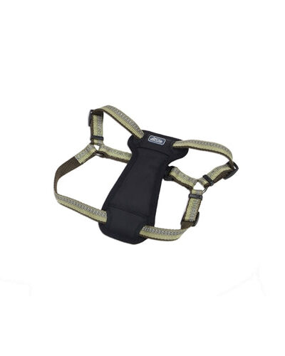 Coastal K9 Explorer 5/8 Inch Padded Harness Fern Green (12-18 Inch)