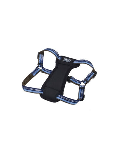 Coastal K9 Explorer 5/8 Inch Padded Harness Sapphire Blue (12-18 Inch)