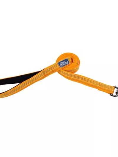 K9 Explorer Brights Reflective Dog Leash Desert Small/Medium 5/8"x 6'