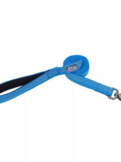 K9 Explorer Brights Reflective Dog Leash Lake Small/Medium 5/8"x 6'