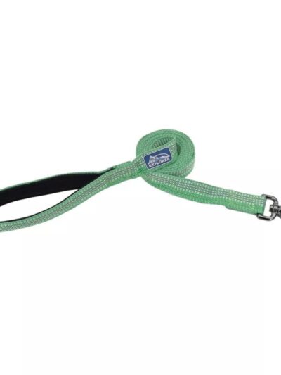 K9 Explorer Brights Reflective Dog Leash Meadow Small/Medium 5/8"x 6'