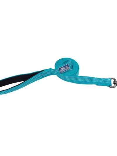 K9 Explorer Brights Reflective Dog Leash Ocean Small/Medium 5/8"x 6'