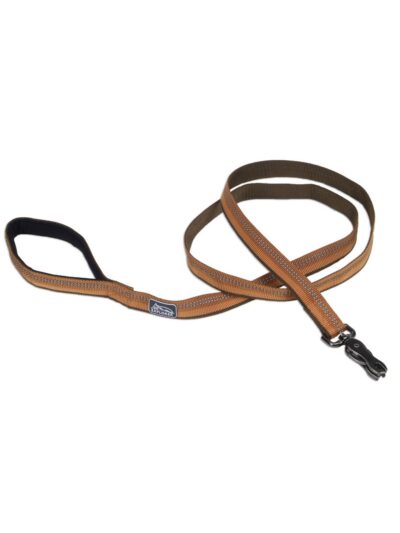 Coastal Products K9 Explorer Reflective Dog Leash With Scissor Snap Campfire Orange
