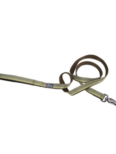 Coastal Products K9 Explorer Reflective Dog Leash With Scissor Snap Fern Medium/Large 1" x 6'