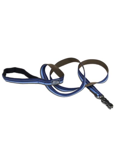 Coastal Products K9 Explorer Reflective Dog Leash With Scissor Snap Sapphire
