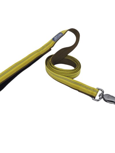 Coastal Products K9 Explorer Reflective Dog Leash With Scissor Snap Golden Rod