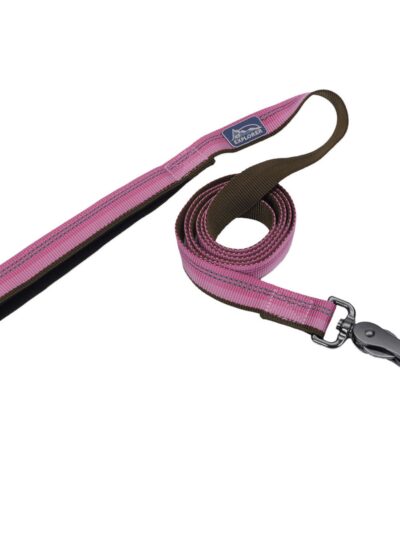 Coastal Products K9 Explorer Reflective Dog Leash With Scissor Snap Rosebud