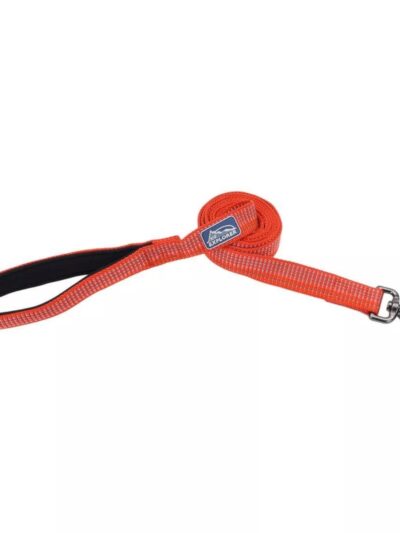 K9 Explorer Brights Reflective Dog Leash Canyon Medium/Large 1"x 6'