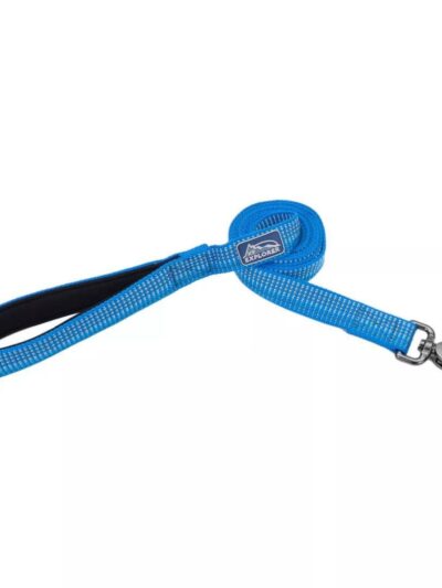 K9 Explorer Brights Reflective Dog Leash Lake Medium/Large 1"x 6'