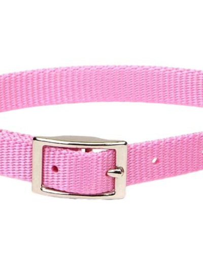 Coastal Single-Ply Nylon Dog Collar Pink Bright 1ea/5/8 In X 16 in