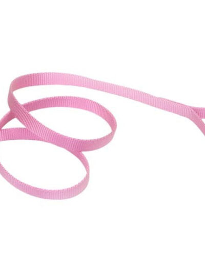 Coastal Single-Ply Nylon Dog Leash Pink Bright 1ea/5/8 In X 6 ft
