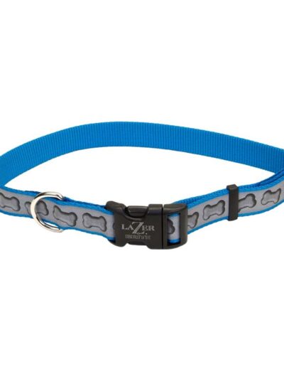 Lazer Brite Reflective Adjustable Dog Collar Turquoise 1ea/3/8 In X 8-12 in