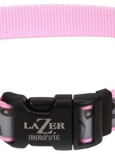 Lazer Brite Reflective Adjustable Dog Collar Turquoise 1ea/5/8 In X 12-18 in