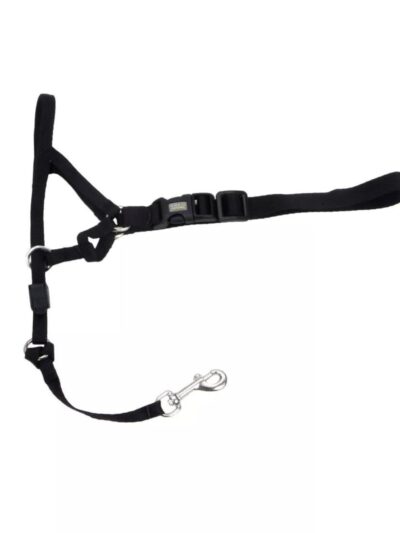 Walk 'n Train Dog Head Halter Black 1ea/MD