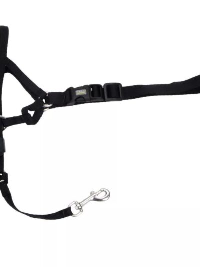 Walk 'n Train Dog Head Halter Black 1ea/LG