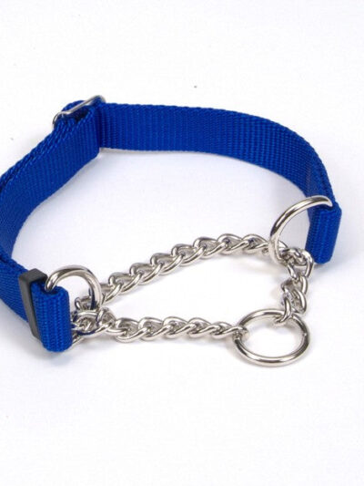 Check-Choke Adjustable Check Training Dog Collar Blue 1ea/3/4 In X 14-20 in