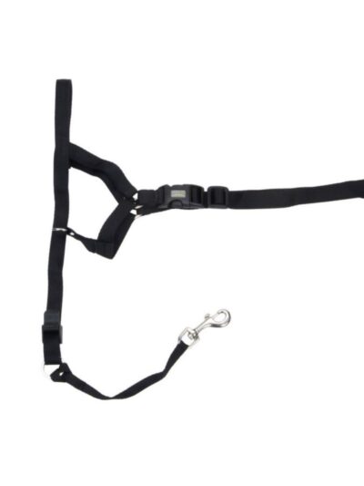 Walk 'n Train Dog Head Halter Black 1ea/XL