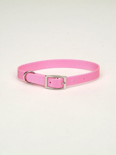 Coastal Single-Ply Nylon Collar Bright Pink 3/4X16In