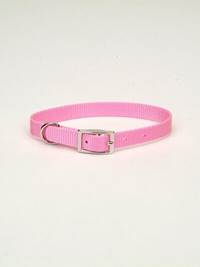 Coastal Single-Ply Nylon Dog Collar Pink Bright 1ea/3/4 In X 18 in
