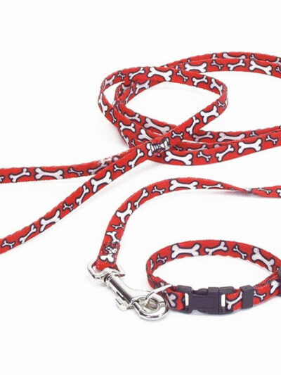 Lil Pals Patterned Dog Leash with E-Z Snap Red, White 1ea/3/8 In X 6 ft