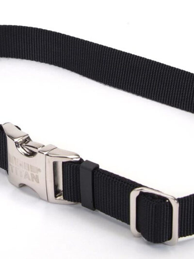 Coastal Adjustable Nylon Dog Collar with Titan Metal Buckle Black 1ea/3/4 In X 14-20 in