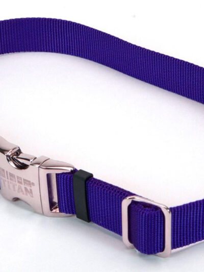 Coastal Adjustable Nylon Dog Collar with Titan Metal Buckle Blue 1ea/3/4 In X 14-20 in