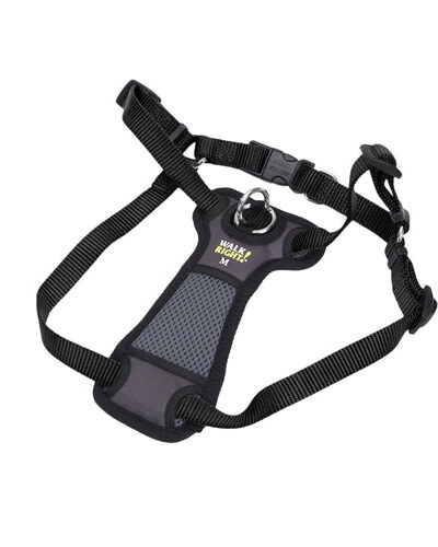 Walk Right Front-Connect Padded Dog Harness Black 1ea/SM, 16-24 in