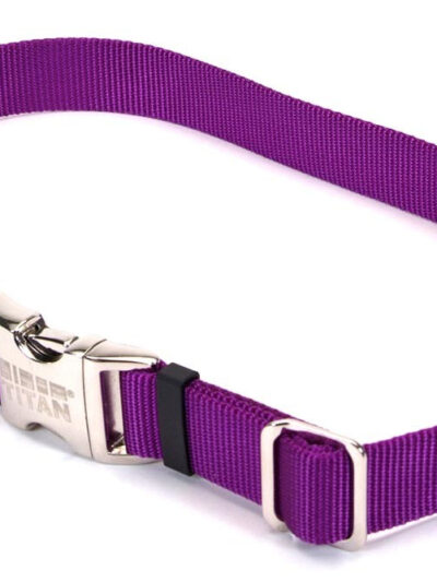 Coastal Adjustable Nylon Collar With Coastal Titan Metal Buckle Purple 1X18-26In