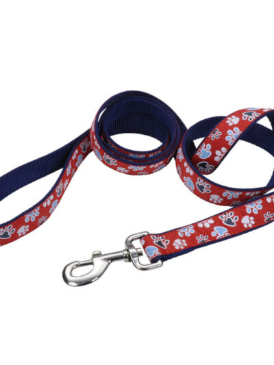 Ribbon Nylon Dog Leash Red 1ea/1 In X 6 ft