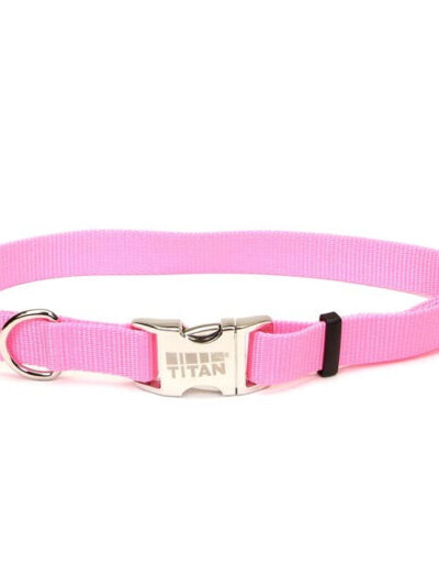 Coastal Adjustable Nylon Collar With Coastal Titan Metal Buckle Bright Pink 1X14-20In