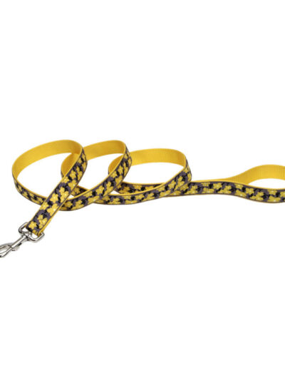 Ribbon Nylon Dog Leash Yellow 1ea/1 In X 6 ft