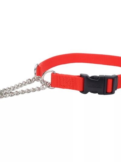 Coastal Adjustable Check Training Collar with Buckle for Dogs Red Medium 5/8" X 14"-18"