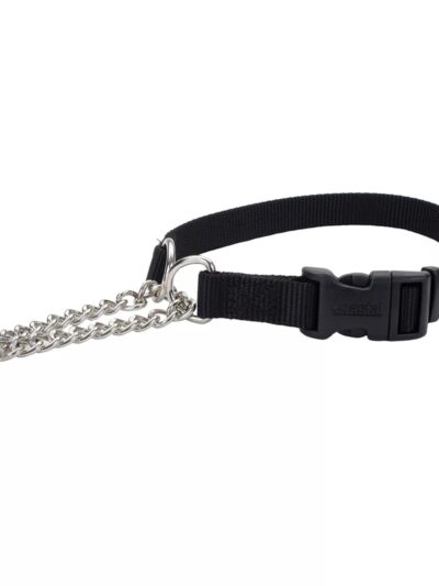 Coastal Adjustable Check Training Collar with Buckle for Dogs Black Large 3/4" X 18"-22"