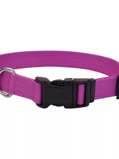 Coastal Adjustable Dog Collar with Plastic Buckle Orchid Large 1" X 18"-26"