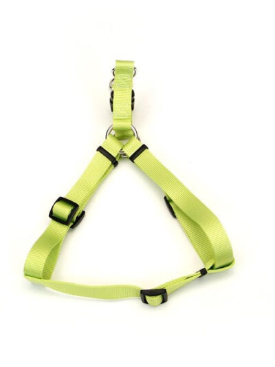 Coastal Standard Adjustable Nylon Harness Lime 1X 26-38In