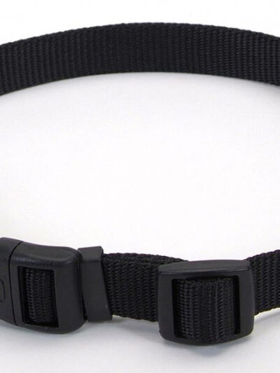 Coastal Adjustable Nylon Collar With Tuff Buckle Black 1X20In