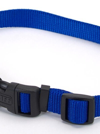 Coastal Adjustable Nylon Collar With Tuff Buckle Blue 1X20In