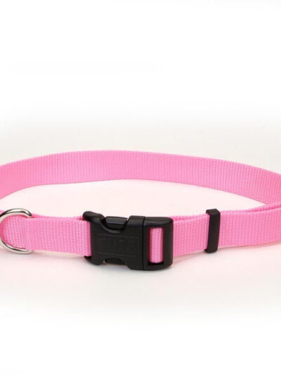 Coastal Adjustable Nylon Collar With Tuff Buckle Bright Pink 1X20In