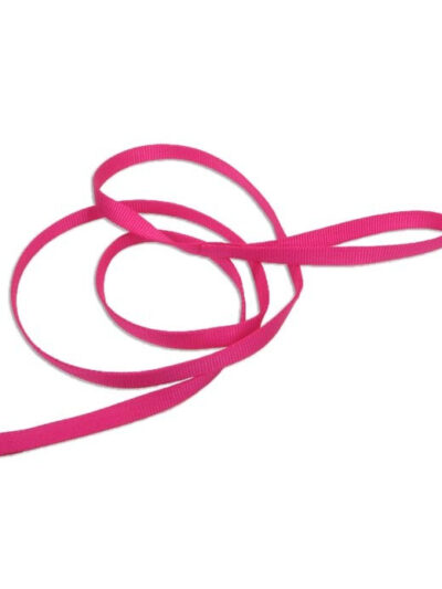 Coastal Single-Ply Nylon Dog Leash Pink Flamingo 1ea/1 In X 6 ft