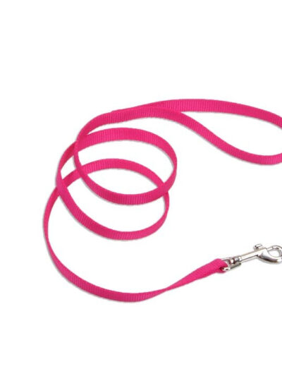 Coastal Single-Ply Nylon Leash Pink Flamingo 5/8X4Ft