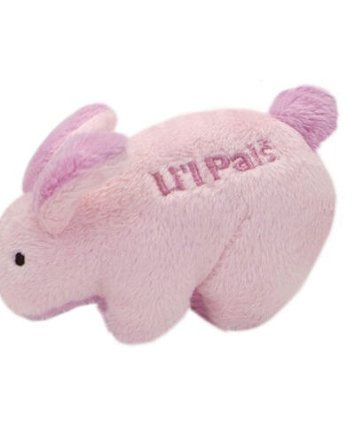 Coastal Lil Pals Plush Dog Toy- Peter Rabbit