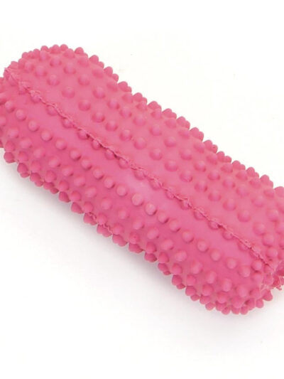 Coastal Rascals Latex Toy Spiny Dumbbell 6In