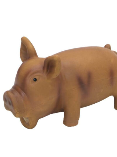 Coastal Rascals Latex Toy Pig Brown 6.25In
