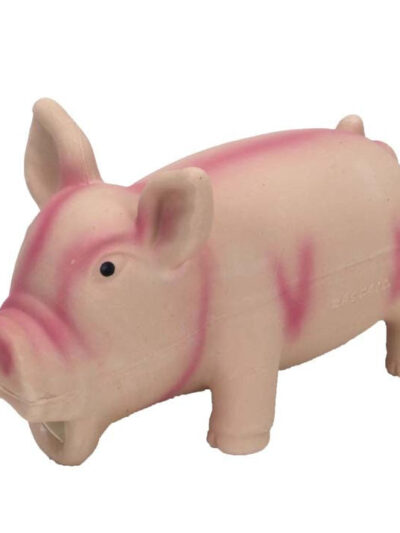 Rascals Latex Dog Toy Pig 1ea/6.25 in