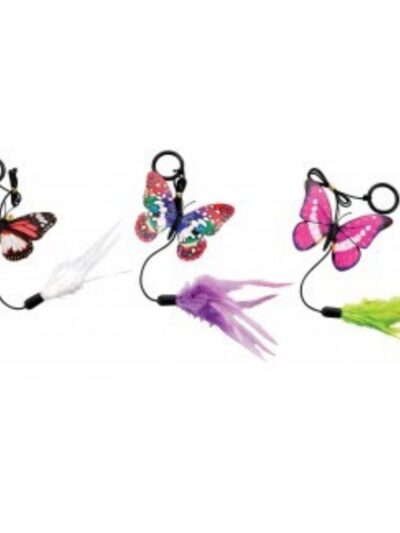 Spot 8†Fluttering Butterfly with Teaser Ring Assorted