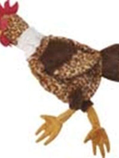 Skinneeez Barnyard Series Dog Toy Chicken Multi-Color 1ea/Regular