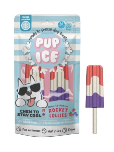Pup Ice Rocket Lollies Strawberry/Blueberry 2 Pk