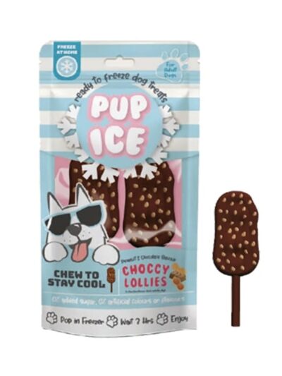 Pup Ice Choccy Lollies Peanut Butter/Chocolate 2 Pk