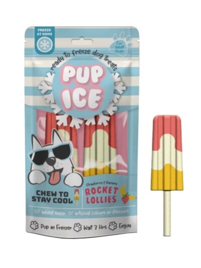 Pup Ice Rocket Lollies Strawberry/Banana 2 Pk